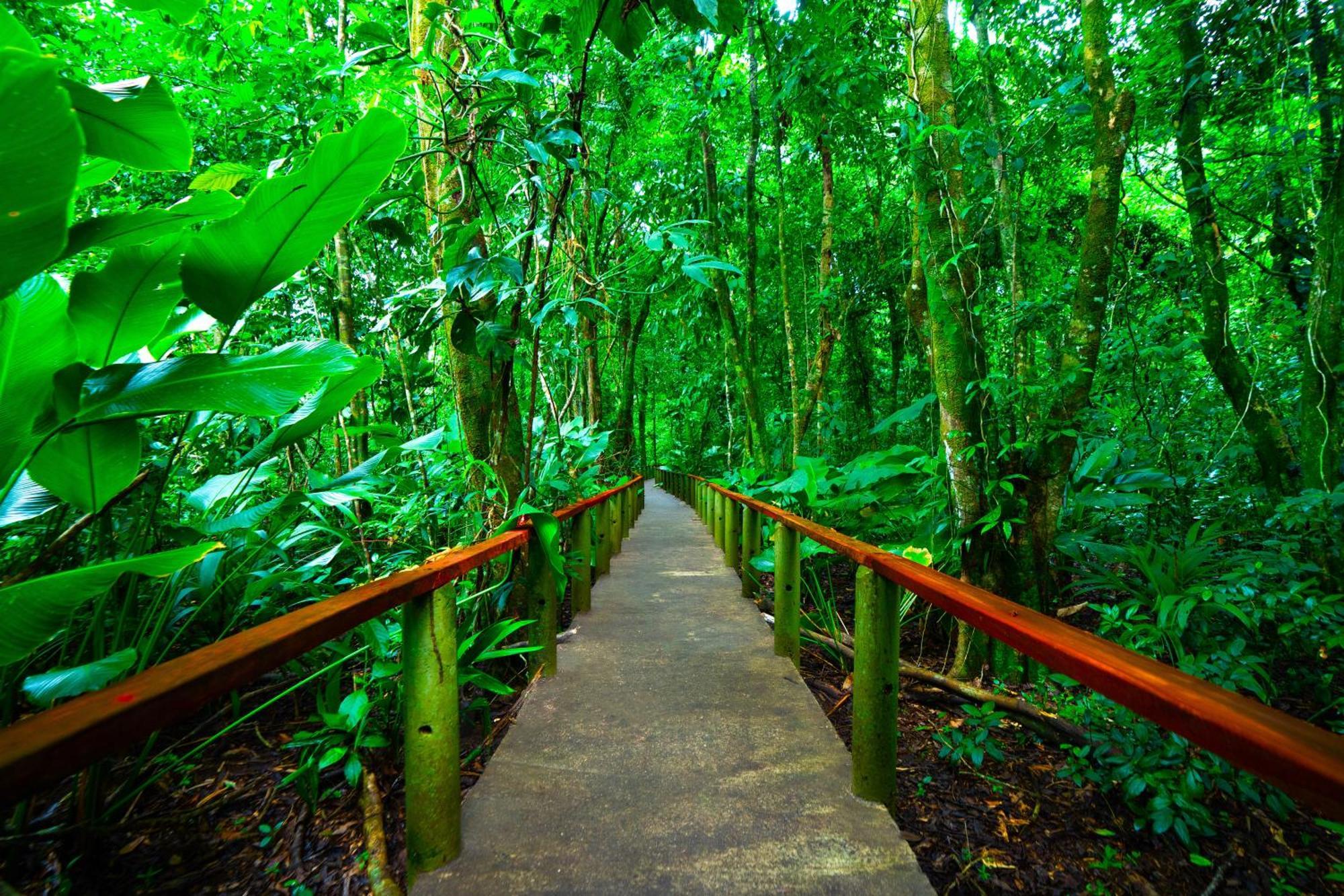 Aninga Lodge Tortuguero Exterior photo