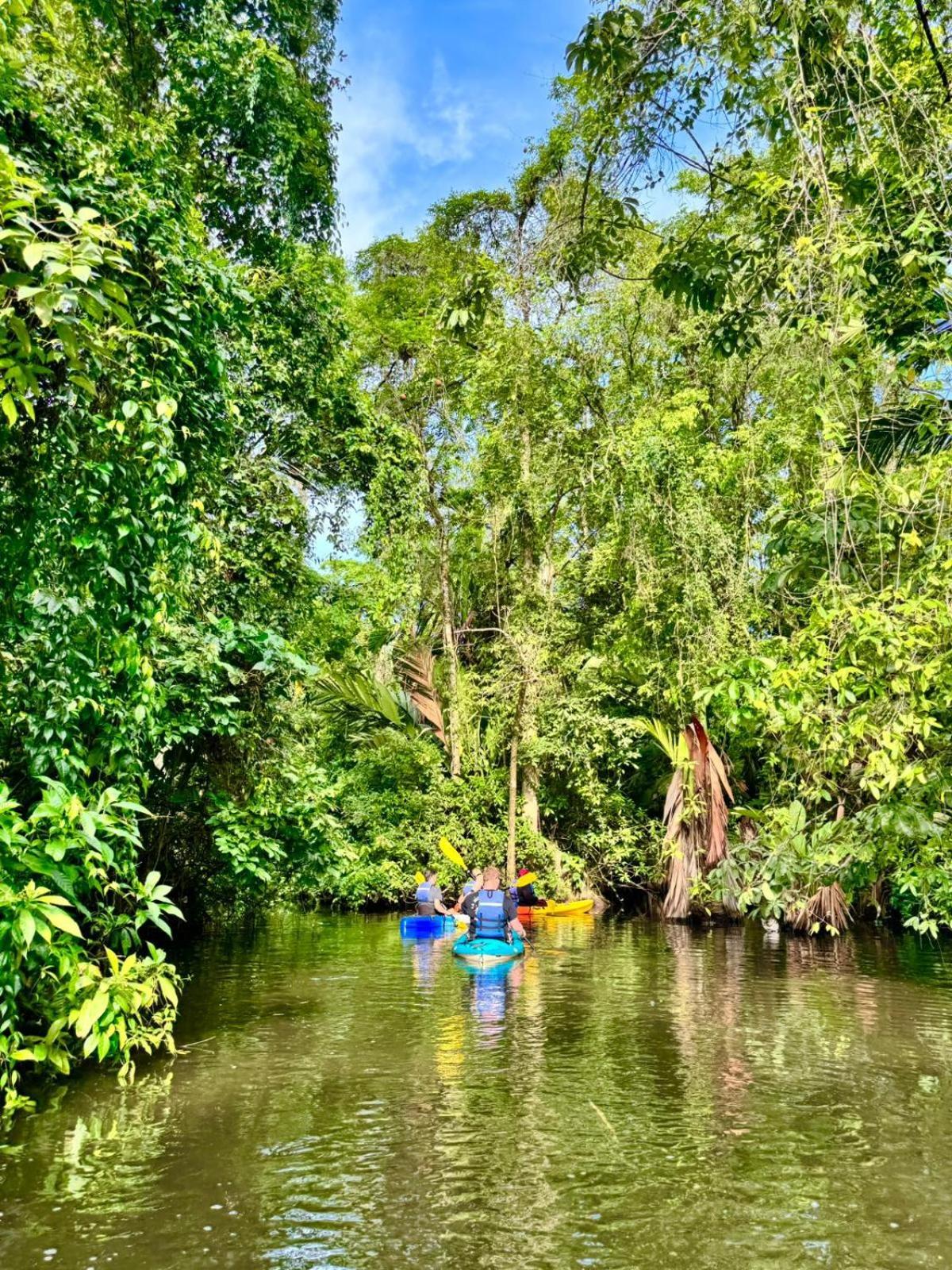 Aninga Lodge Tortuguero Exterior photo